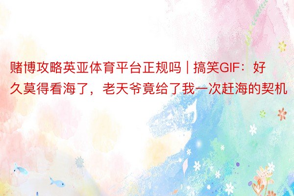 赌博攻略英亚体育平台正规吗 | 搞笑GIF：好久莫得看海了，老天爷竟给了我一次赶海的契机