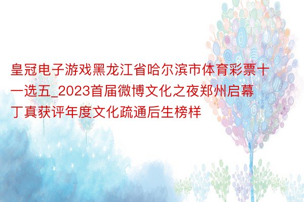 皇冠电子游戏黑龙江省哈尔滨市体育彩票十一选五_2023首届微博文化之夜郑州启幕  丁真获评年度文化疏通后生榜样